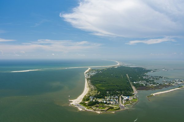 Quels sont les meilleurs spots pour observer les dauphins en Nouvelle-Zélande : lieux et périodes recommandées ?